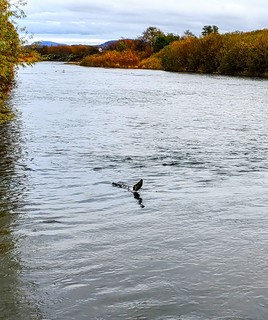 20211103_115529~3.jpg
