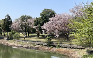 2025-04-17 10.55.54.jpg