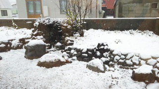 DSC_0893.JPG