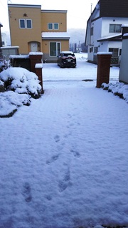 初雪3.jpg