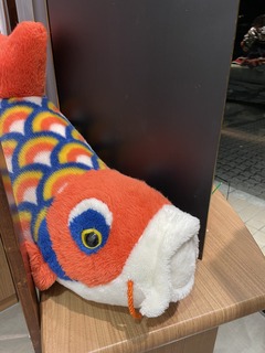 IMG_0202.jpeg