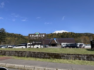 IMG_0256.jpeg