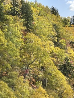 IMG_0261.jpeg