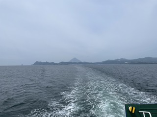 IMG_0802.jpeg