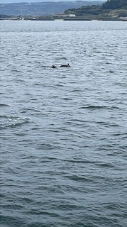 IMG_0836.jpeg