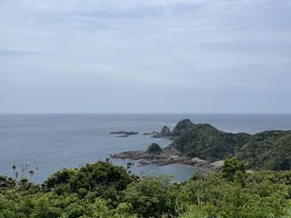 IMG_0876.jpeg