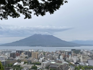 IMG_1007.jpeg