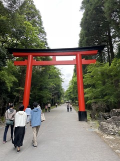 IMG_1047.jpeg