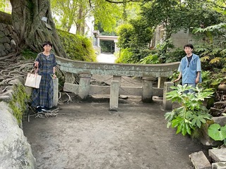 IMG_1135.jpeg