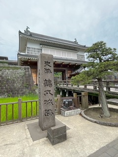 IMG_1181.jpeg