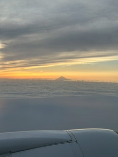 IMG_1193.jpeg