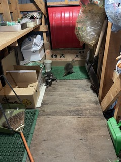 IMG_1960.jpeg