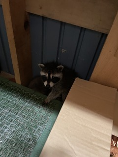 IMG_1961.jpeg