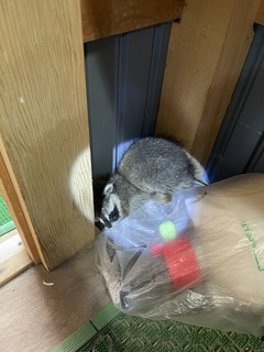 IMG_1964.jpeg