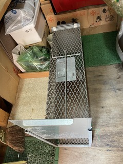 IMG_1968.jpeg