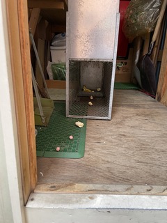 IMG_1970.jpeg
