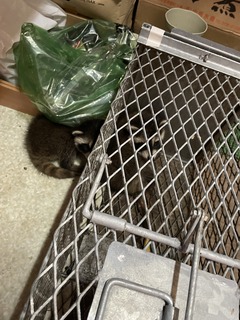 IMG_1982.jpeg