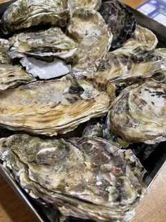 IMG_1997.jpeg