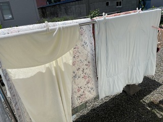 IMG_2151.jpeg