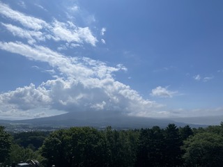 IMG_2337.jpeg