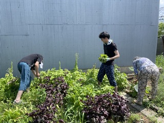 IMG_2385.jpeg