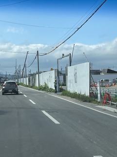 IMG_2424.jpeg