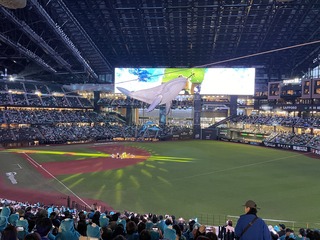 IMG_2842.jpeg