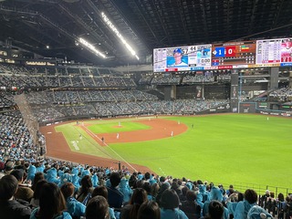 IMG_2847.jpeg