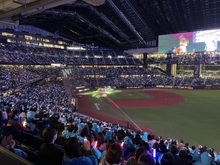 IMG_2856.jpeg