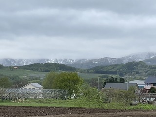 IMG_4561.JPG