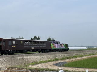 IMG_4685.JPG