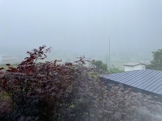 IMG_4767.jpeg