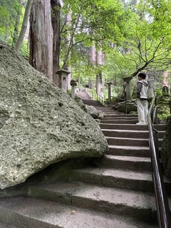 IMG_4936.JPG