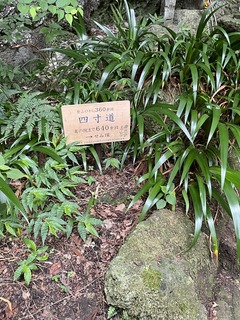 IMG_4938.JPG