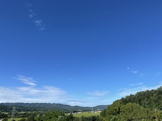 IMG_5176.JPG