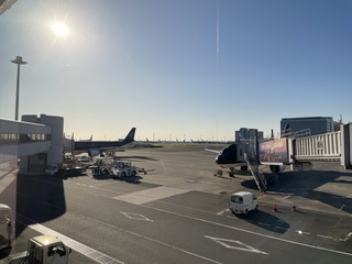 IMG_7076.jpeg
