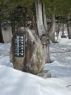 IMG_9567.jpeg