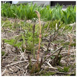 LINE_ALBUM_仁木_250510_8.jpg