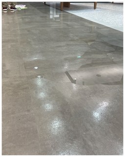 LINE_ALBUM_т_250612_2.jpg