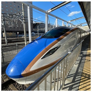 S__20578339.jpg