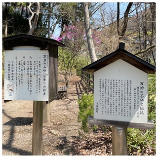 S__20586506_0.jpg