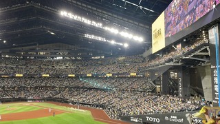 S__311820290_0.jpg