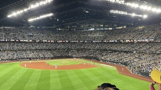 S__311820294_0.jpg